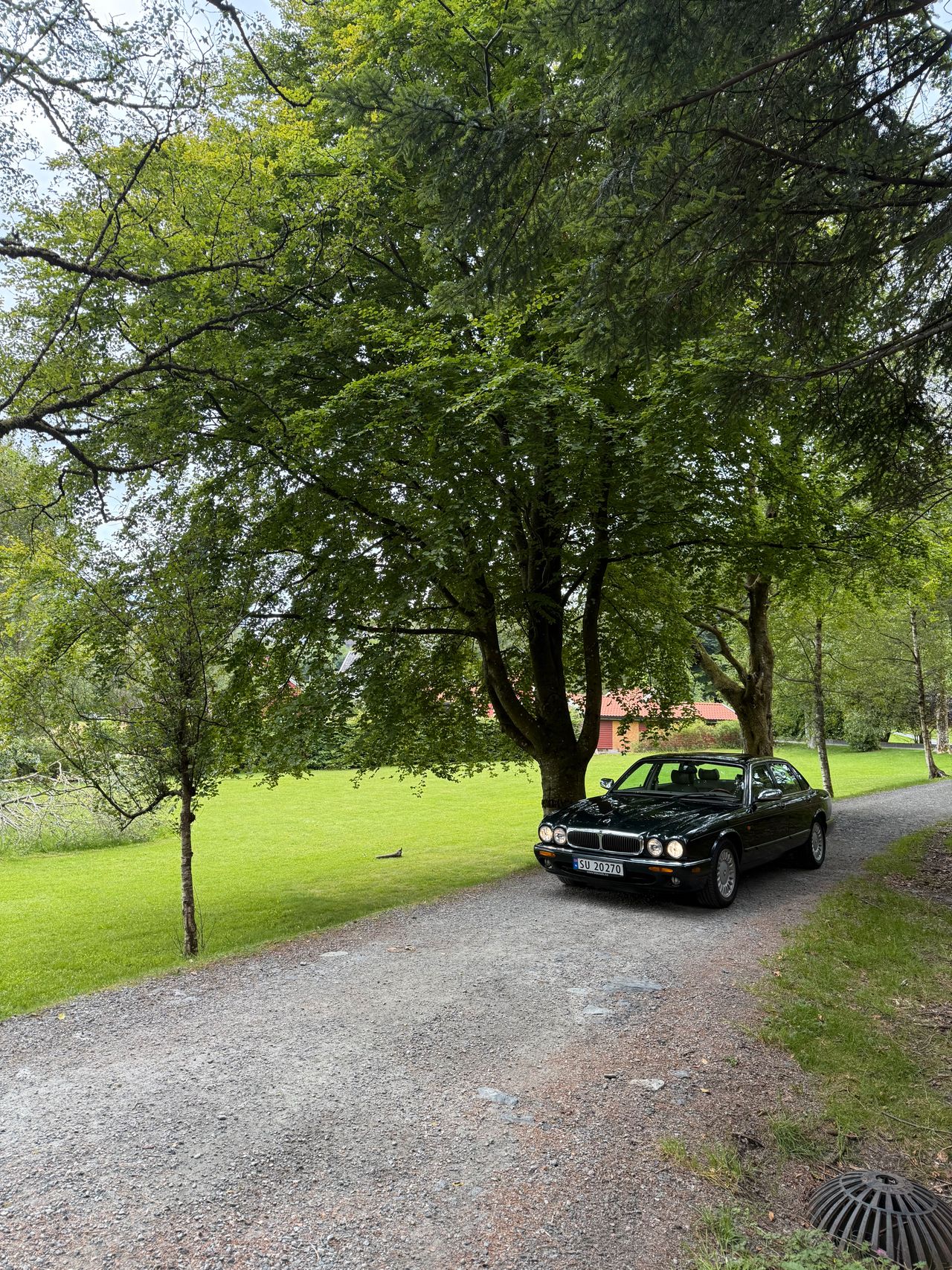Jaguar XJ — sett ovenfra i skogen